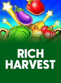 333m apostas mobile para jogadores brasil app