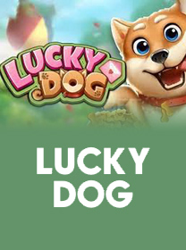 333m descubra cassino grátis 100% legal